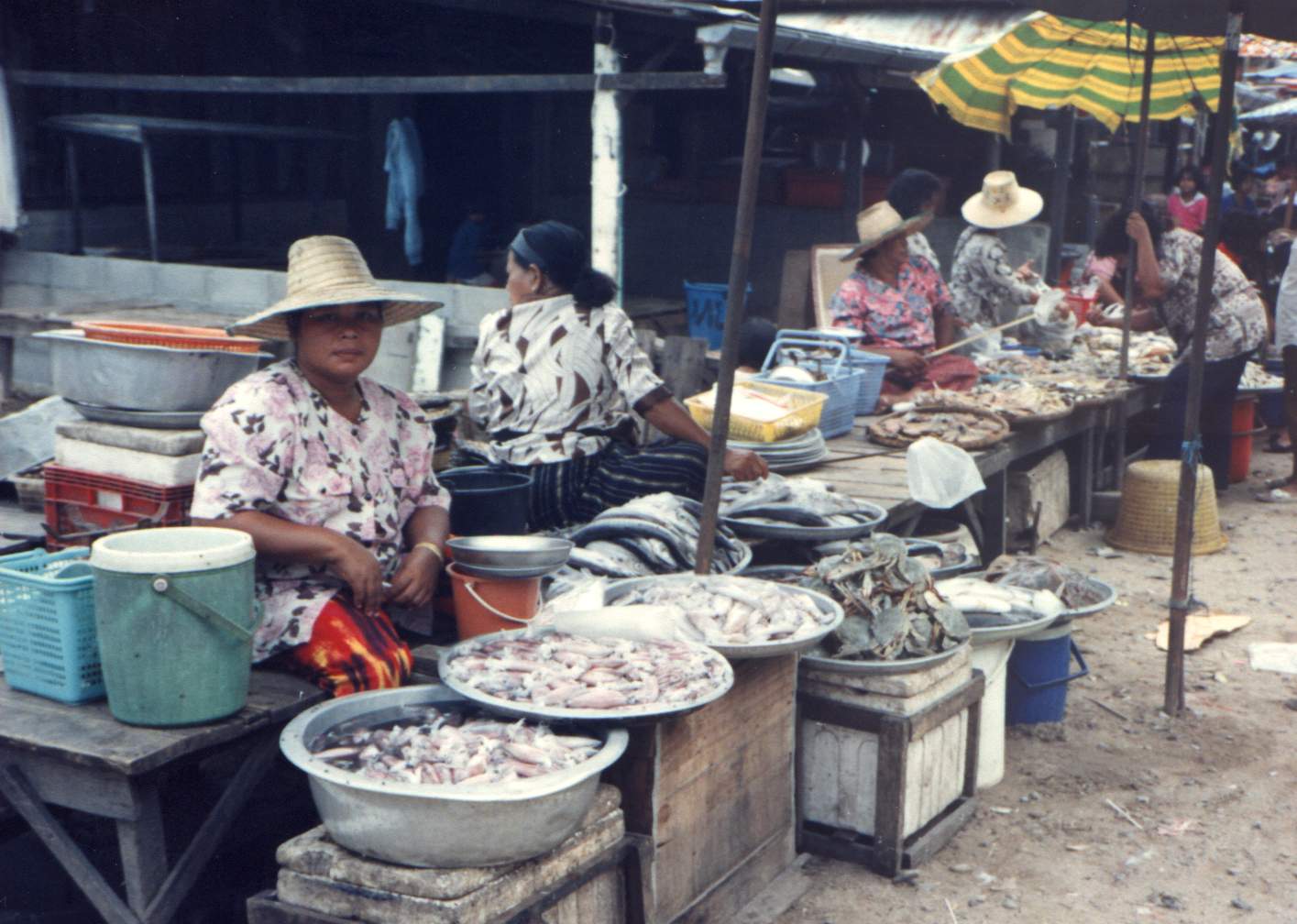 Women at the fish market