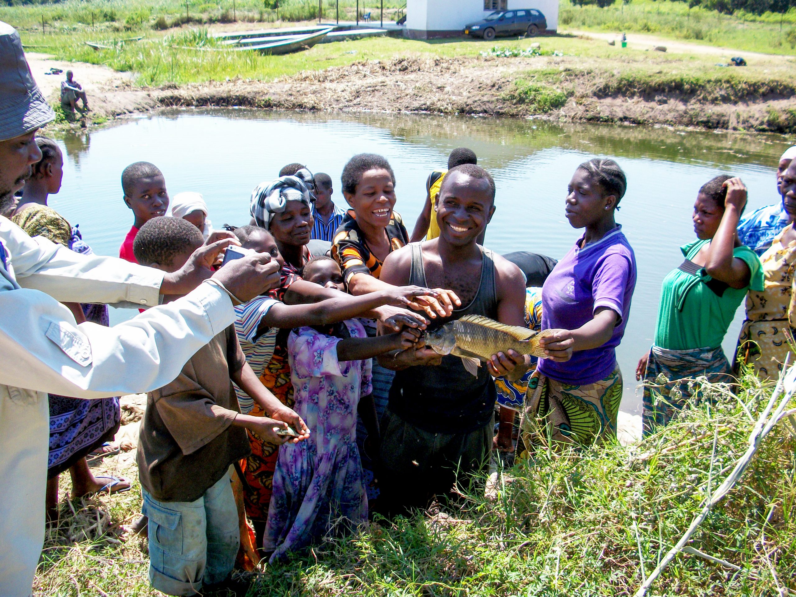 Fish farmers at a tilapia pond in Kenya
