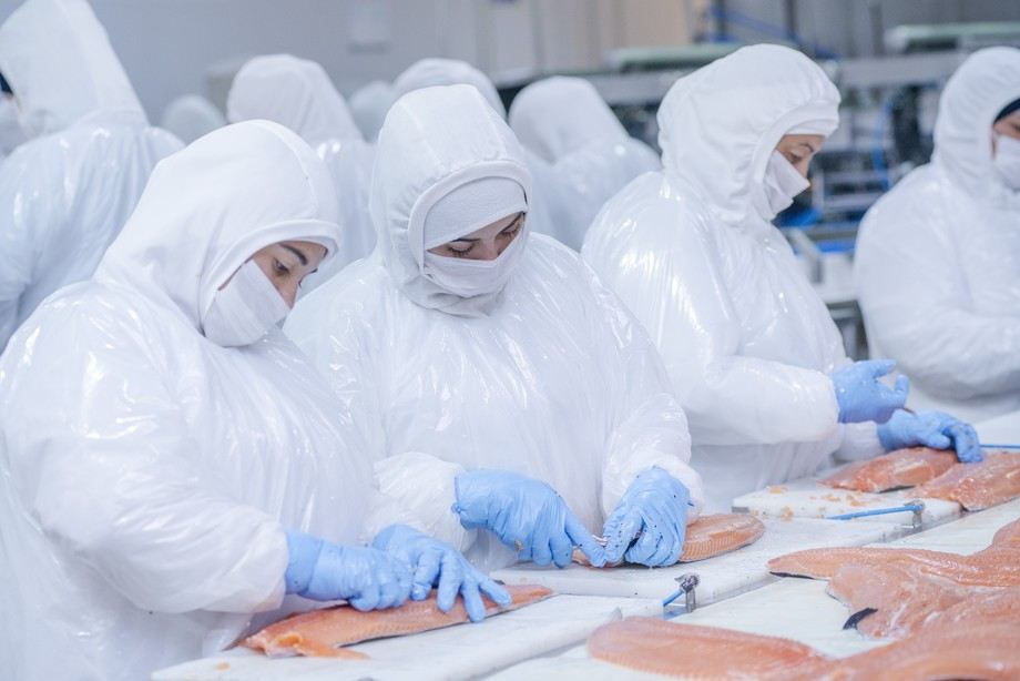 Thirty-three per cent of Chilean salmon workers are women, who constitute nearly half of direct employment in processing plants