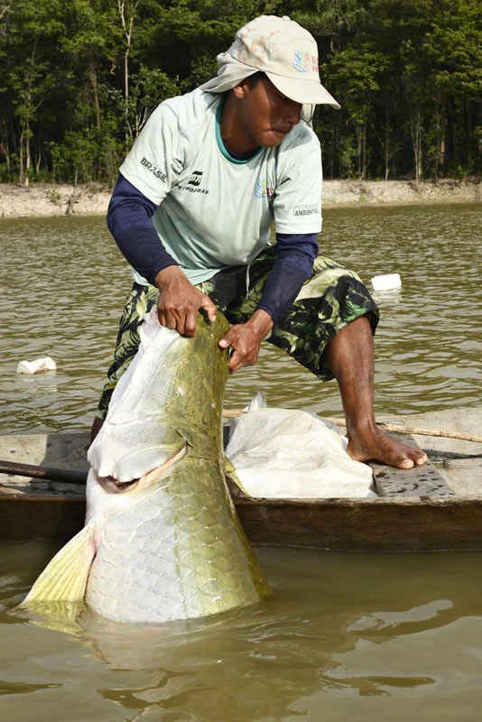 Paumari fisher in the Tapaua River, Amazonas, Brazil