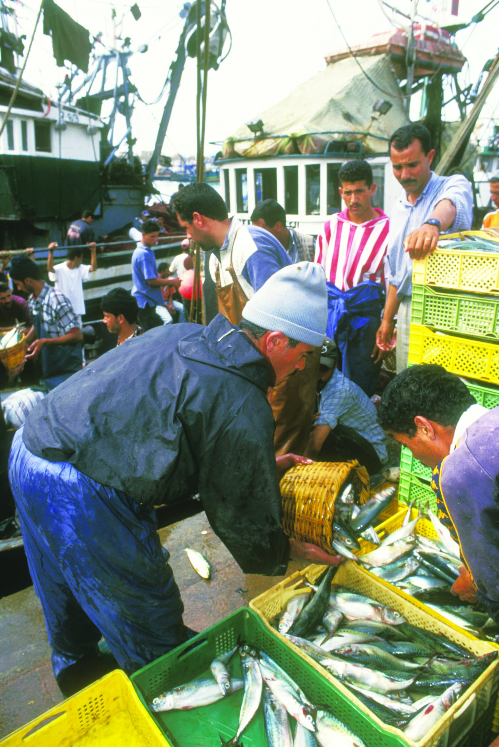 Fishers unloading crates of fish from the day’s catch on to the wharf of El Jadida harbour, Morocco