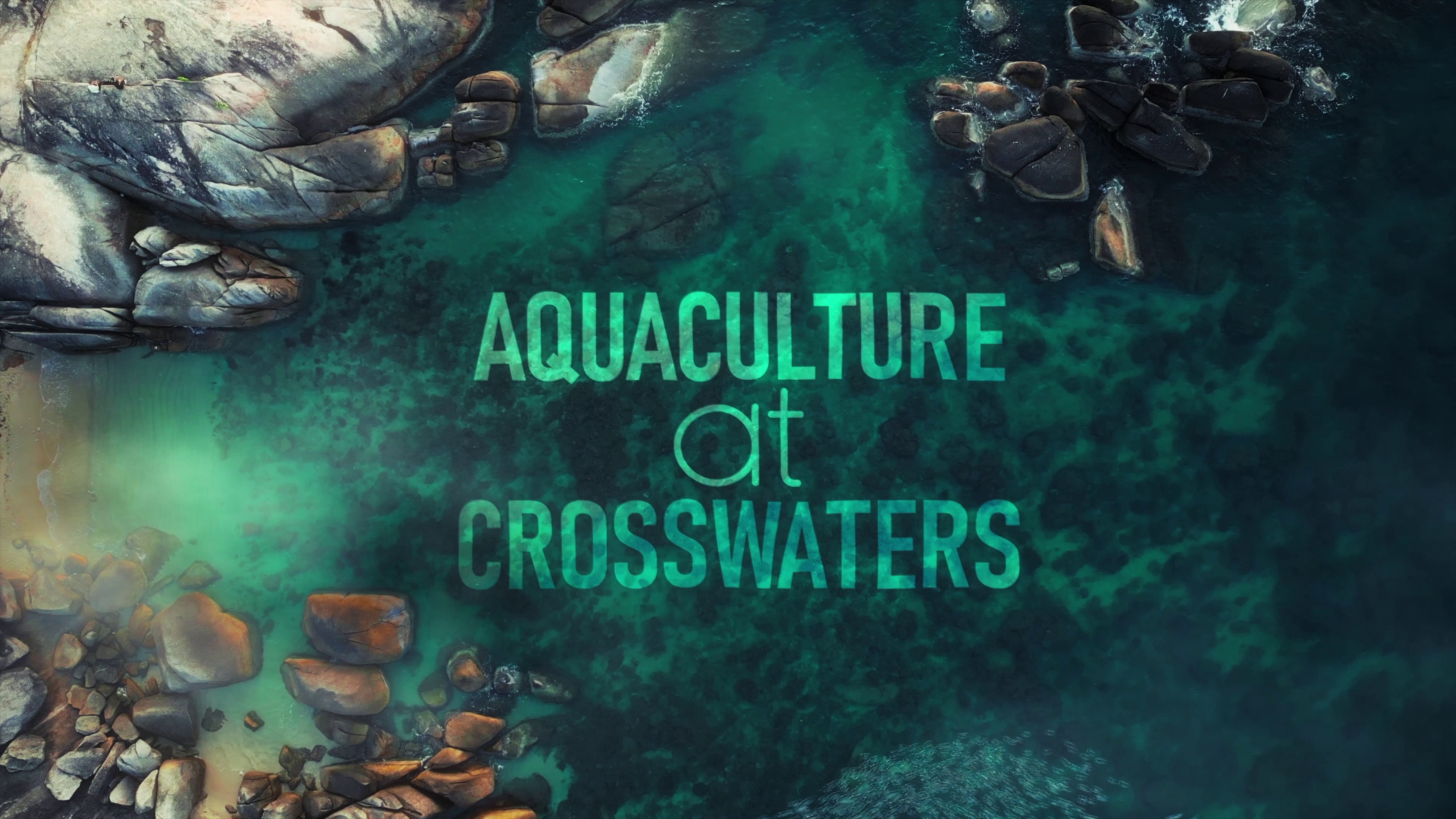 Aquaculture at Crosswaters